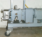 ITT Jabsco Pureflo Positive Displacement Lobe Rotary Pump 25550-51300