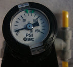 Phoenix Contact 2938604 Quint-Buffer24DC20 Buffer Module 24Vdc 10A -SMC ARG20-N0