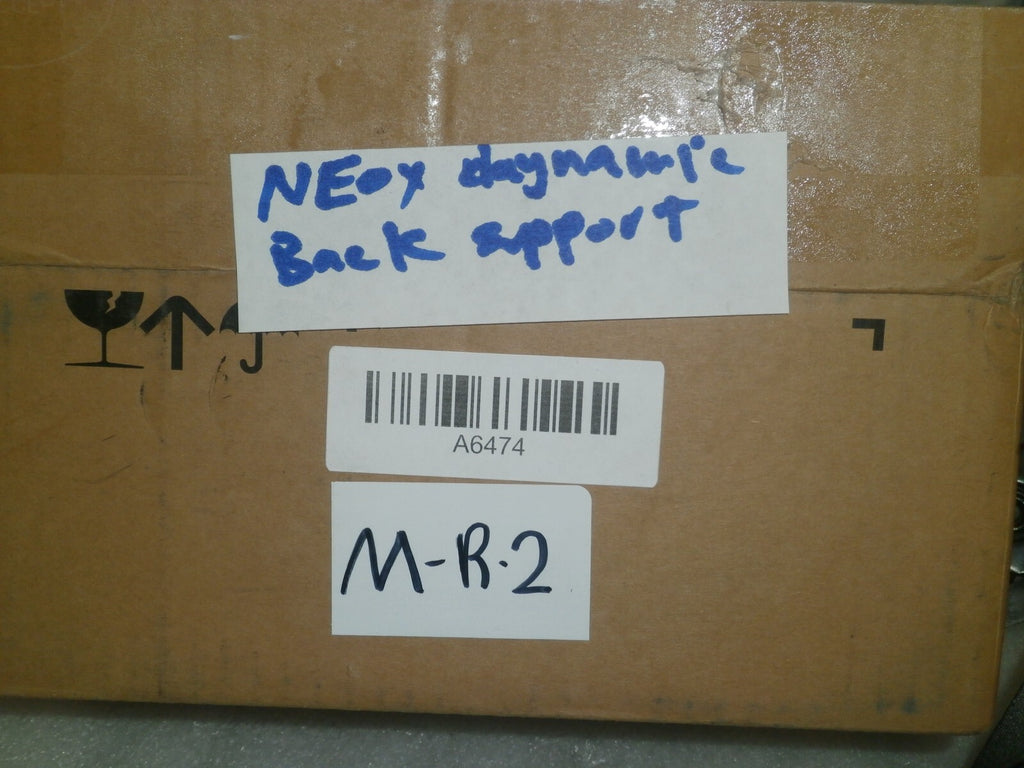 Neox Dynamic Back Support