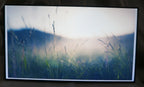 Commerical Digital Signage LED 43" SAMSUNG LH43PHFP PH43F NO STAND W/ REMOTE