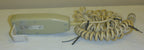 BHM ERGOLIFT HAND CONTROL 8 PINS USED GOOD CONDITION