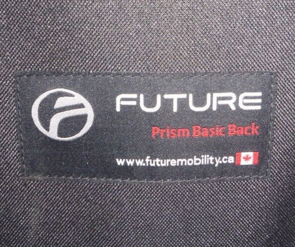 FUTURE PRISM BASIC BACK 16 X 20" FOR WHEELCHAIR W/ ACCESSORIES GOOD CONDITION