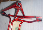 NIMBO INSPIRED WALKER KA2200S-2GCR NOW OPEN BOX