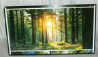 Commerical Digital Signage LED 43" SAMSUNG LH43PHFP PH43F NO STAND W/ REMOTE