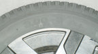 SET OF 2 QUANTUM Q6 EDGE WHEELS PRIMO POWERTRAX 3.00-8 VERY GOOD CONDITION
