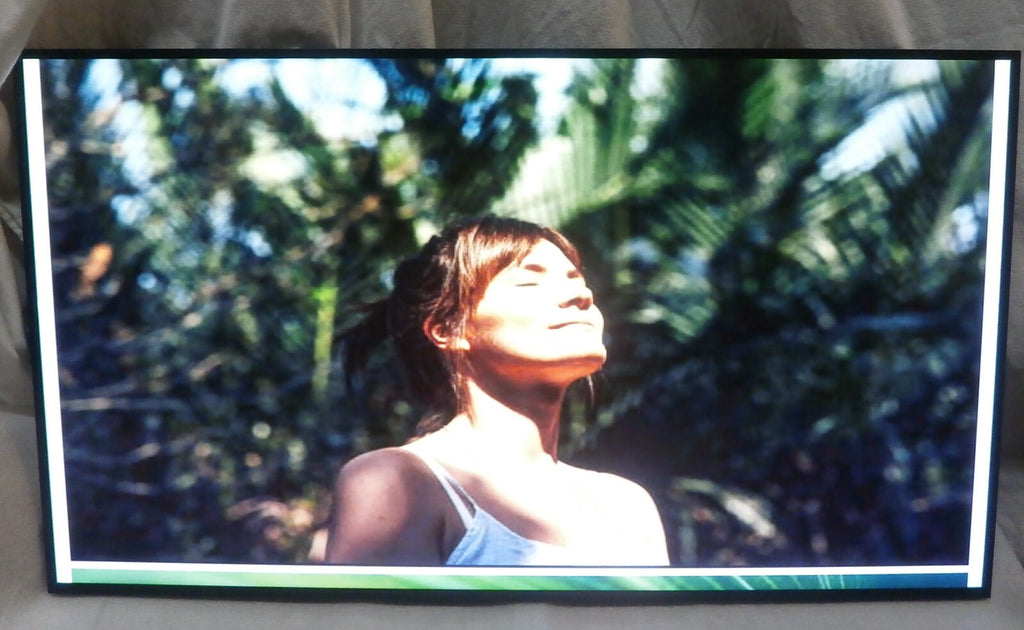 Commerical Digital Signage LED 43" SAMSUNG LH43PHFP PH43F NO STAND W/ REMOTE