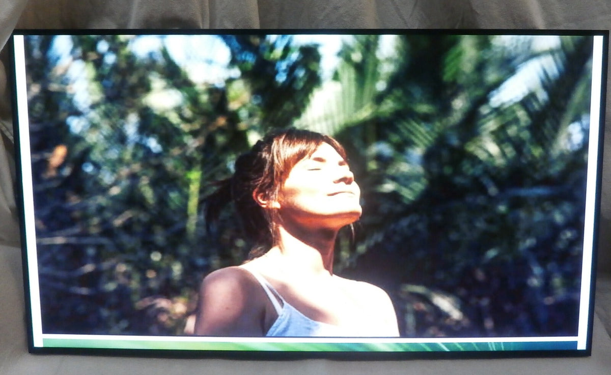 Commerical Digital Signage LED 43" SAMSUNG LH43PHFP PH43F NO STAND W/ REMOTE